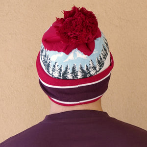 Thumbnail of Back view of the Sierra Nevada Celebration Beanie worn by a man