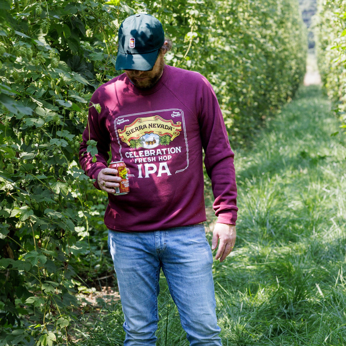 Man in a purple sweatshirt and blue jeans standing in a field holding a beer.