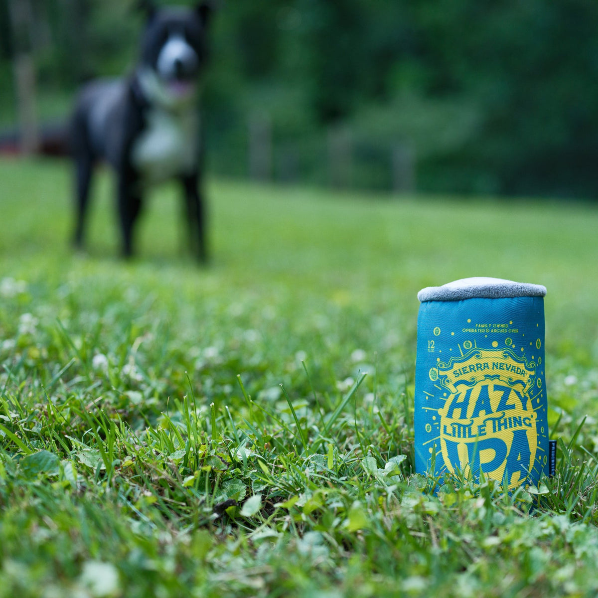 A blue and yellow dog toy can labeled 'Hazy Little Thing IPA' standing upright in a grassy field, with a black and white dog blurred in the background.