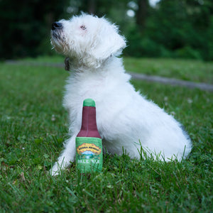 Thumbnail of A small white dog sitting on green grass outdoors, positioned next to a stuffed Pale Ale dog toy.