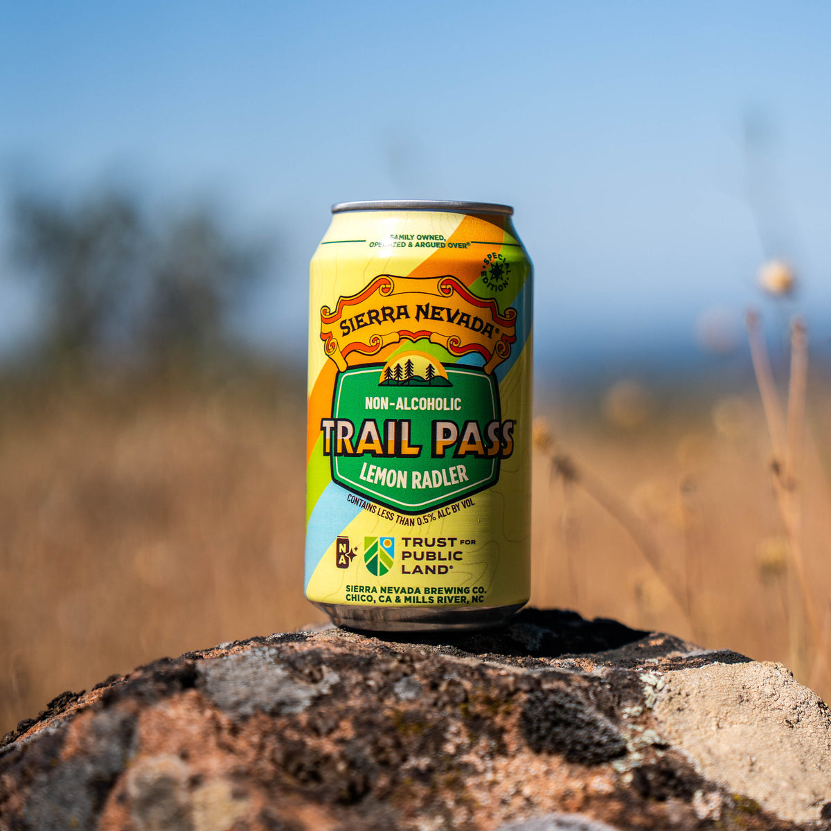 Trail Pass Lemon Radler