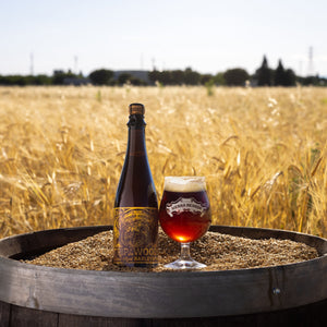 Thumbnail of A bottle and a filled glass of amber beer are placed on top of a wooden barrel filled with grain, set in an outdoor wheat field under a clear sky.
