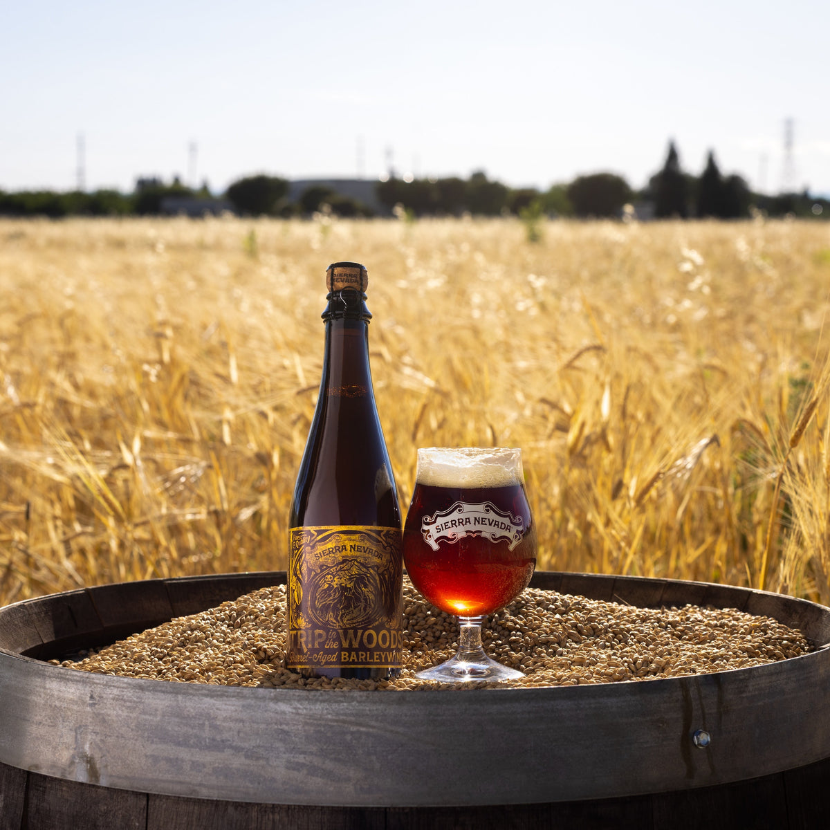 A bottle and a filled glass of amber beer are placed on top of a wooden barrel filled with grain, set in an outdoor wheat field under a clear sky.