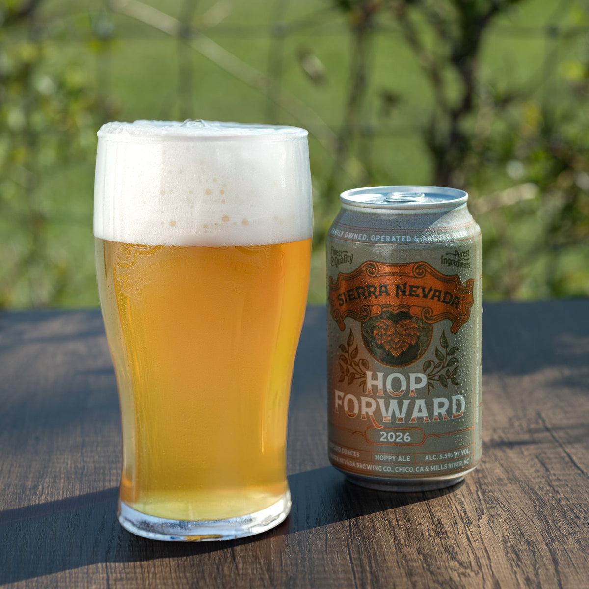 Pint of beer and Sierra Nevada Hop Forward can on a wooden surface with a blurred natural background