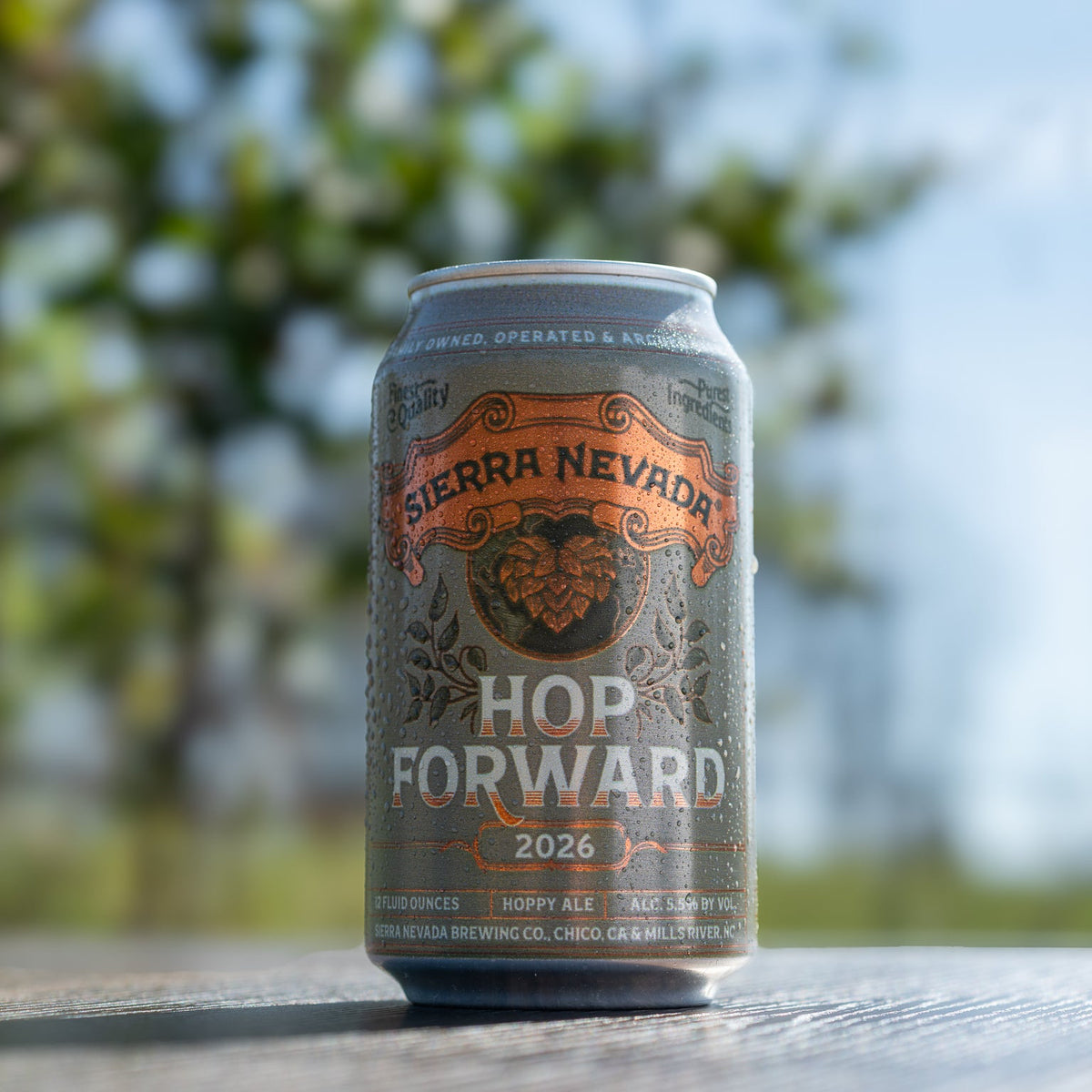 Sierra Nevada Hop Forward 2026 beer can on a wooden surface with a blurred natural background