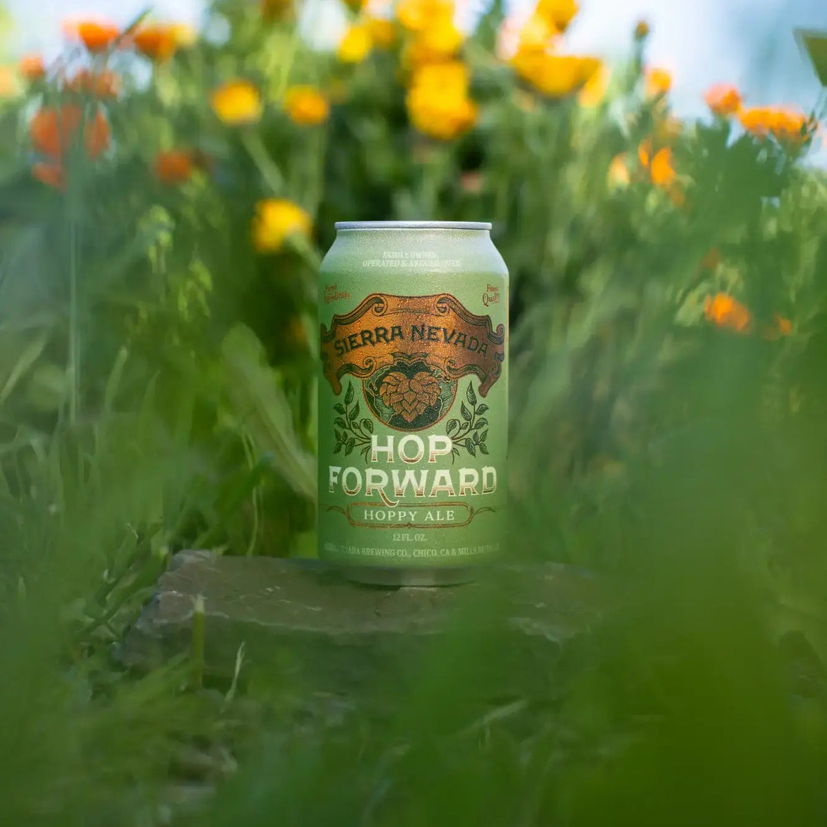 Sierra Nevada Hop Forward Hoppy Ale can nestled in a garden surrounded by colorful flowers