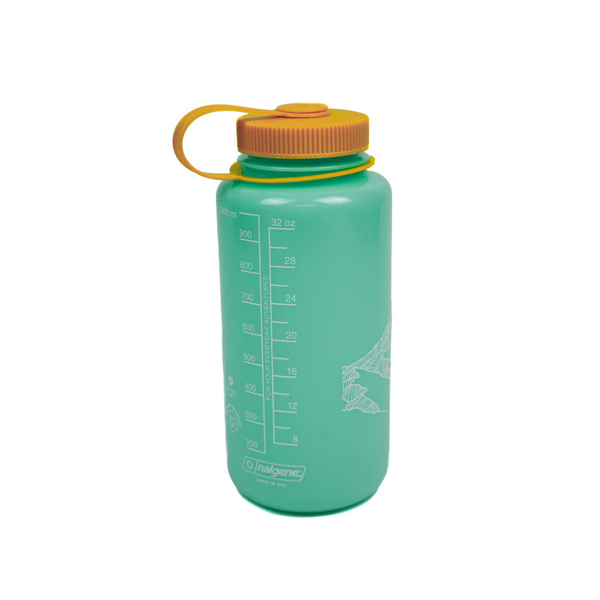 Green water bottle with a brown cap on a white background