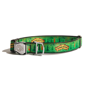Thumbnail of Green dog collar with a silver buckle on a white background