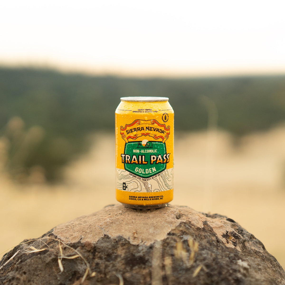 Sierra Nevada Brewing Co. Trail Pass Golden Non-Alcoholic Brew - A cold can of Trail Pass Golden sits on top of a rounded stone overlooking a field