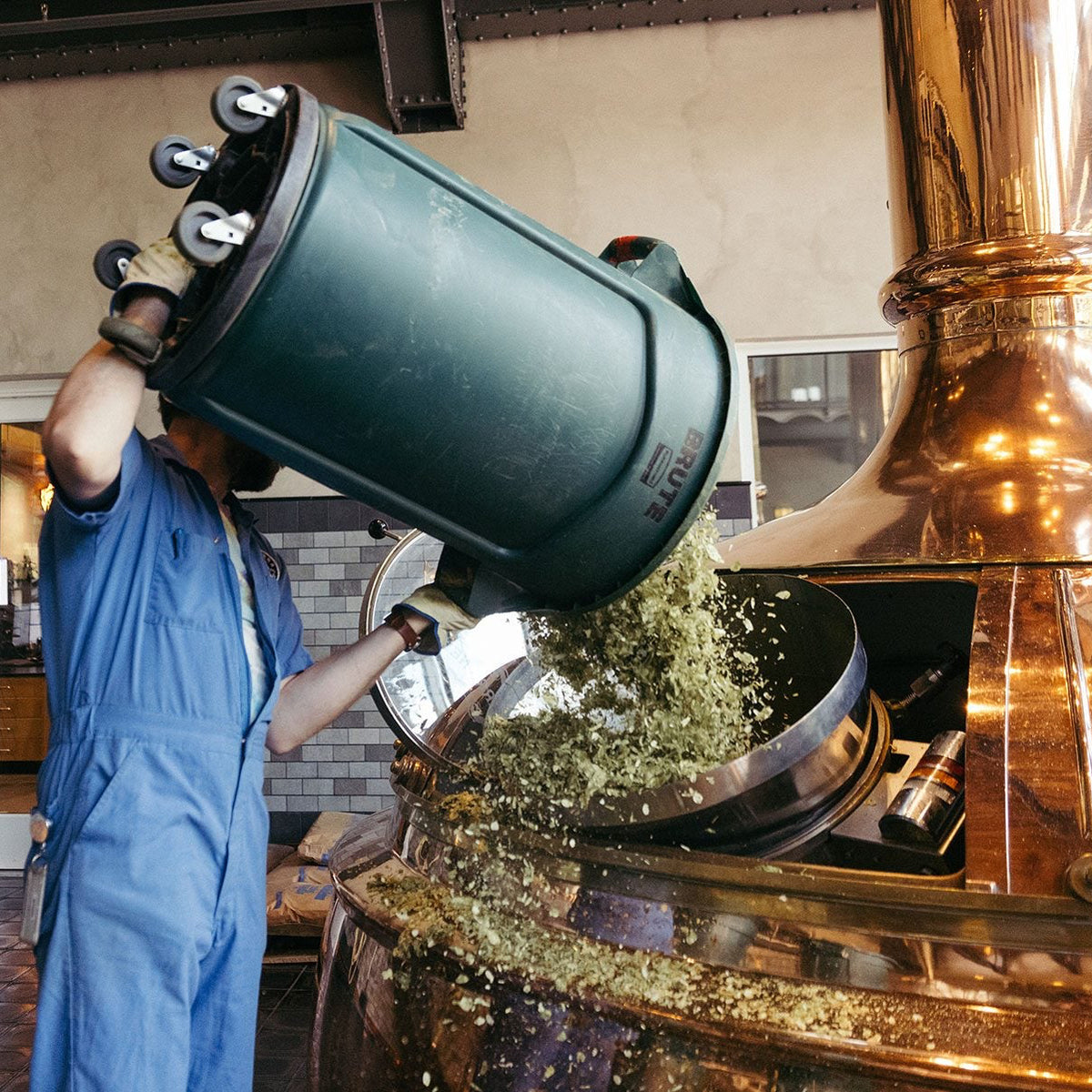 A brewer pours a container of hops into a brew kettle at Sierra Nevada Brewing Co.