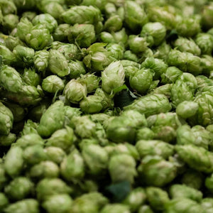 Thumbnail of A bed of freshly picked hop cones