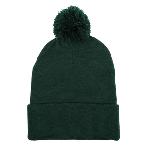 Thumbnail of Green beanie with pom-pom on a white background
