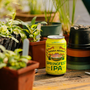 Thumbnail of Sierra Nevada Springfest IPA can on a wooden surface with plants in the background
