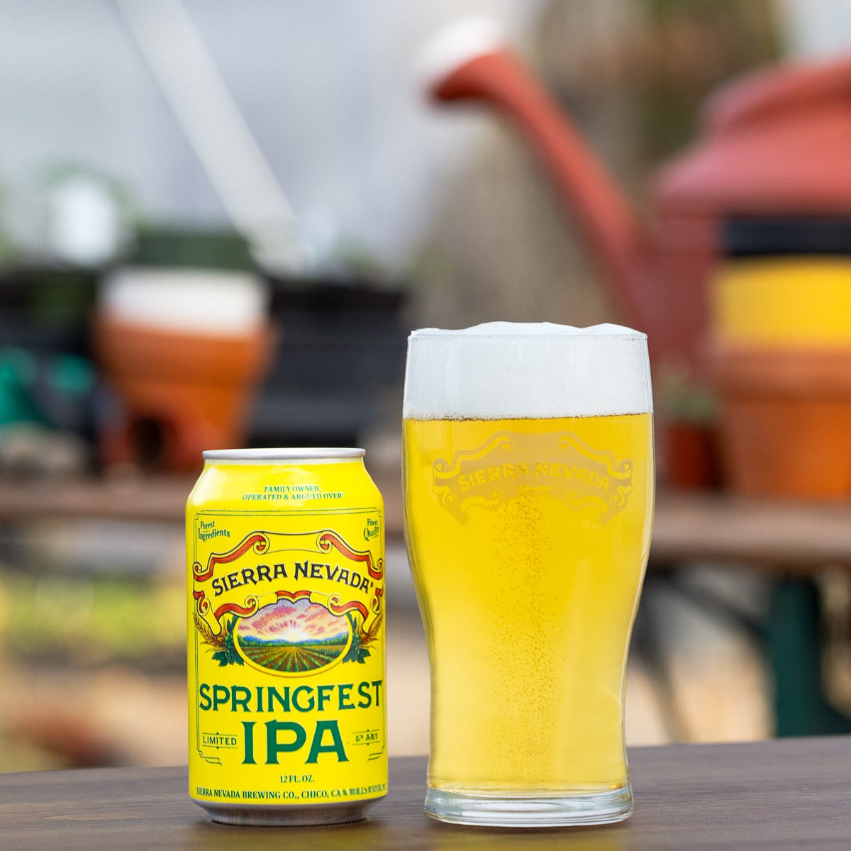 Sierra Nevada Springfest IPA can and glass of beer on a wooden surface with a garden background