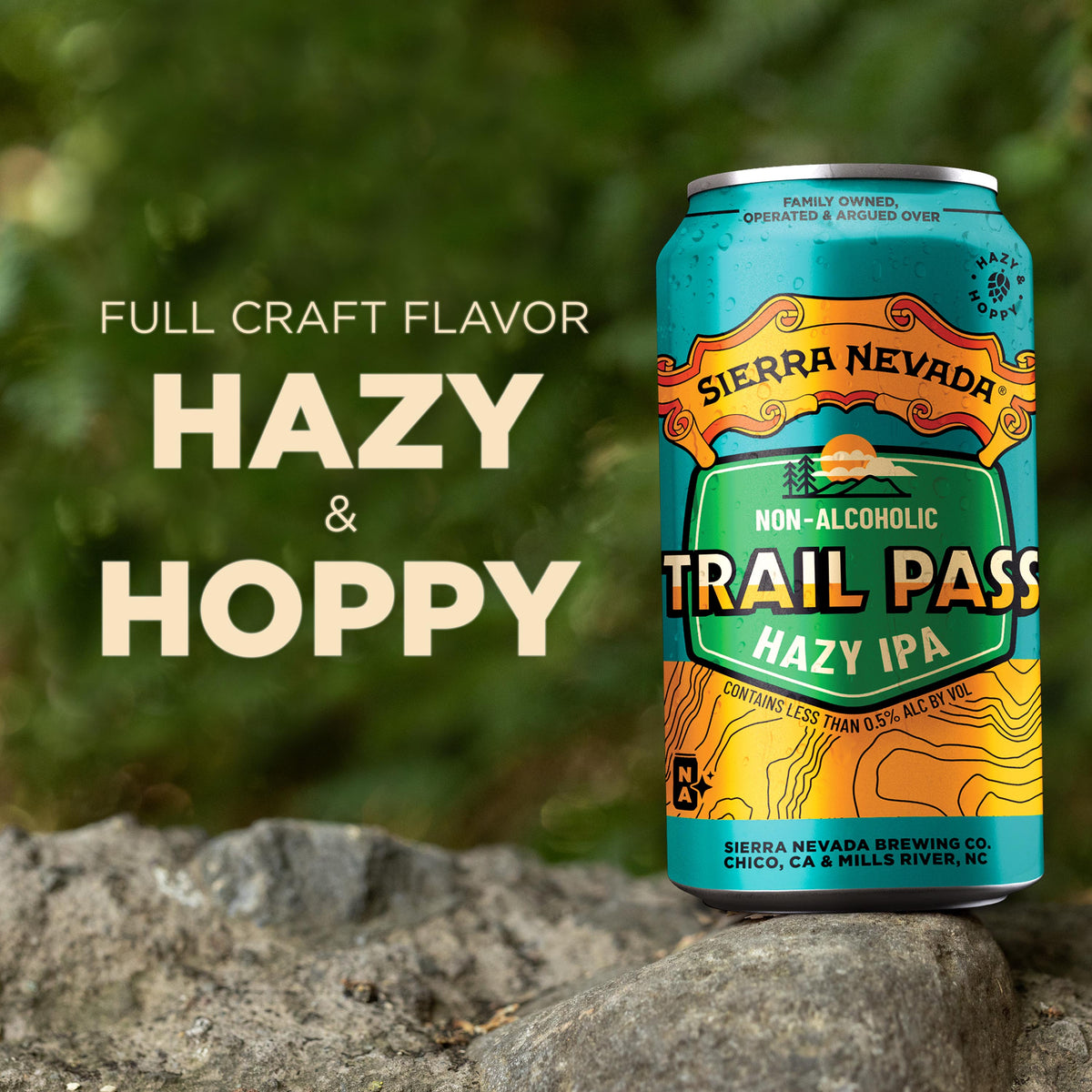Trail Pass Hazy IPA 6-Pack