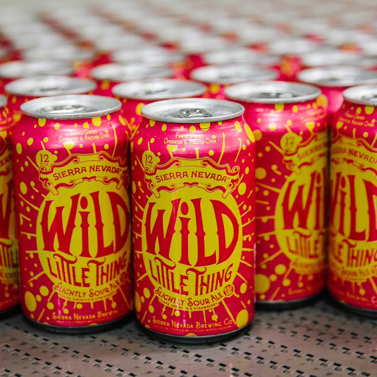 Sierra Nevada Wild Little Thing cans coming off the canning line