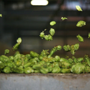 Thumbnail of Hops falling to the floor into a pile