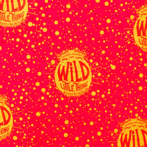 Thumbnail of Close up of Wild Little Thing logo